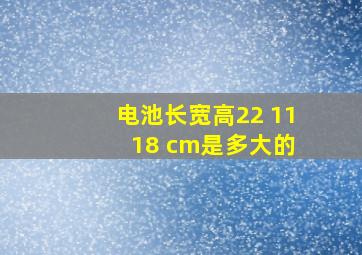 电池长宽高22 11 18 cm是多大的